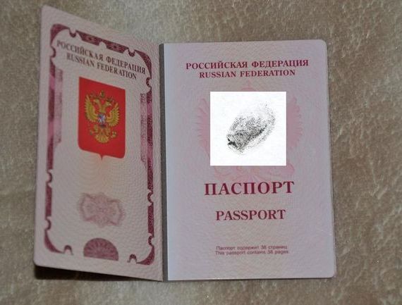 прописка в Азнакаево